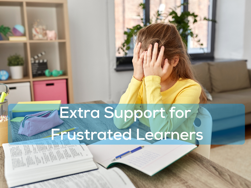 Extra Support for Frustrated Learners