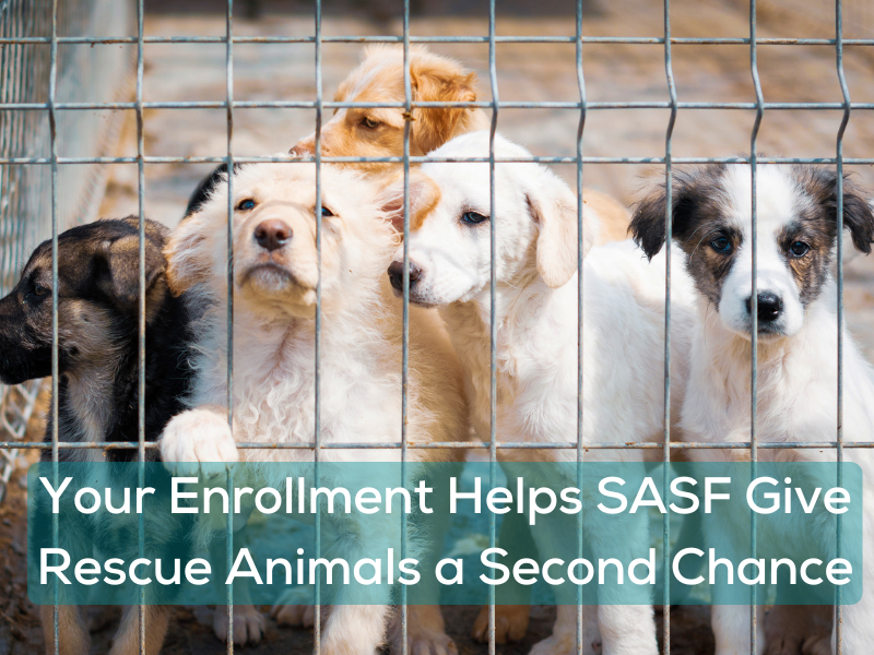 How Your Enrollment Makes an Impact