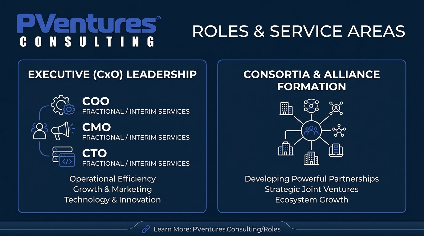 Fractional Executive Roles | CxO On Demand | PVentures