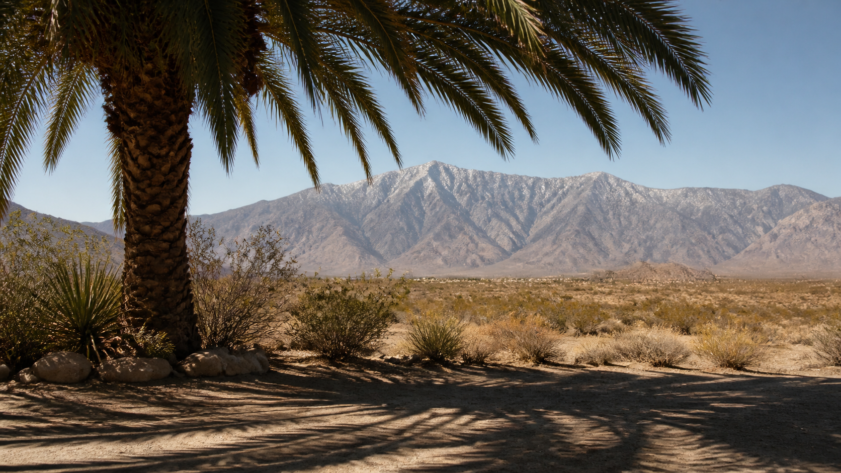 Palm tree casting shade in the Desert Hot Springs desert with the San Jacinto Mountains in the distance