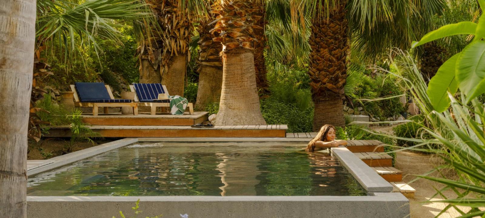 Two Bunch Palms