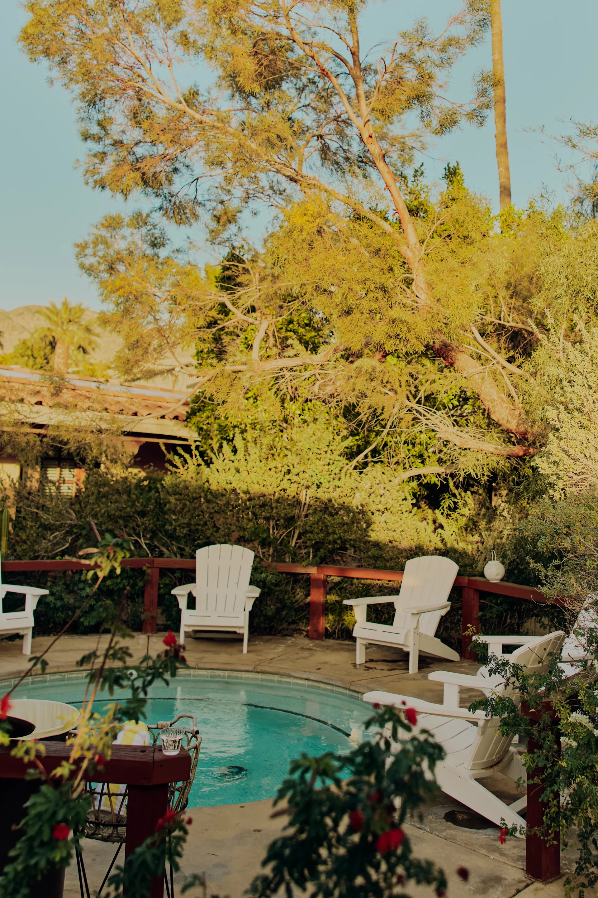 A hidden oasis