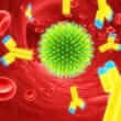 Adenovirus