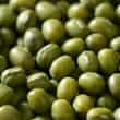 Soy (Glycine max)