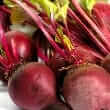 Beet (Beta vulgaris)