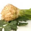 Celery (Apium graveolens)