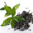 Green tea (Camellia sinensis)