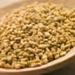 Fenugreek (Trigonella foenum-graecum)