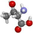 Lthreonine