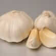 Garlic (Allium sativum L.)