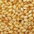 Sesame (Sesamum indicum)