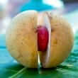 Mace (Myristica fragrans)