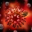 Herpes Viruses