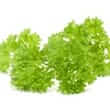 Parsley (Petroselinum spp., Petroselinum crispum, Petroselinum neapolitanum)