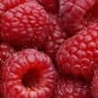 Raspberry (Rubus idaeus)
