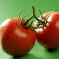 Lycopene