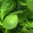 Spinach