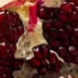 Pomegranate (Punica granatum)