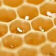 Beeswax
