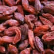 Goji (Lycium spp.)