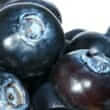Bilberry (Vaccinium myrtillus)