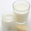 Lactobacillus GG (Lactobacillus rhamnosus)