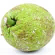 Breadfruit
