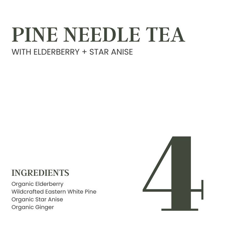 Pine Needle Tea [with Organic Elderberry + Star Anise] - Image 3