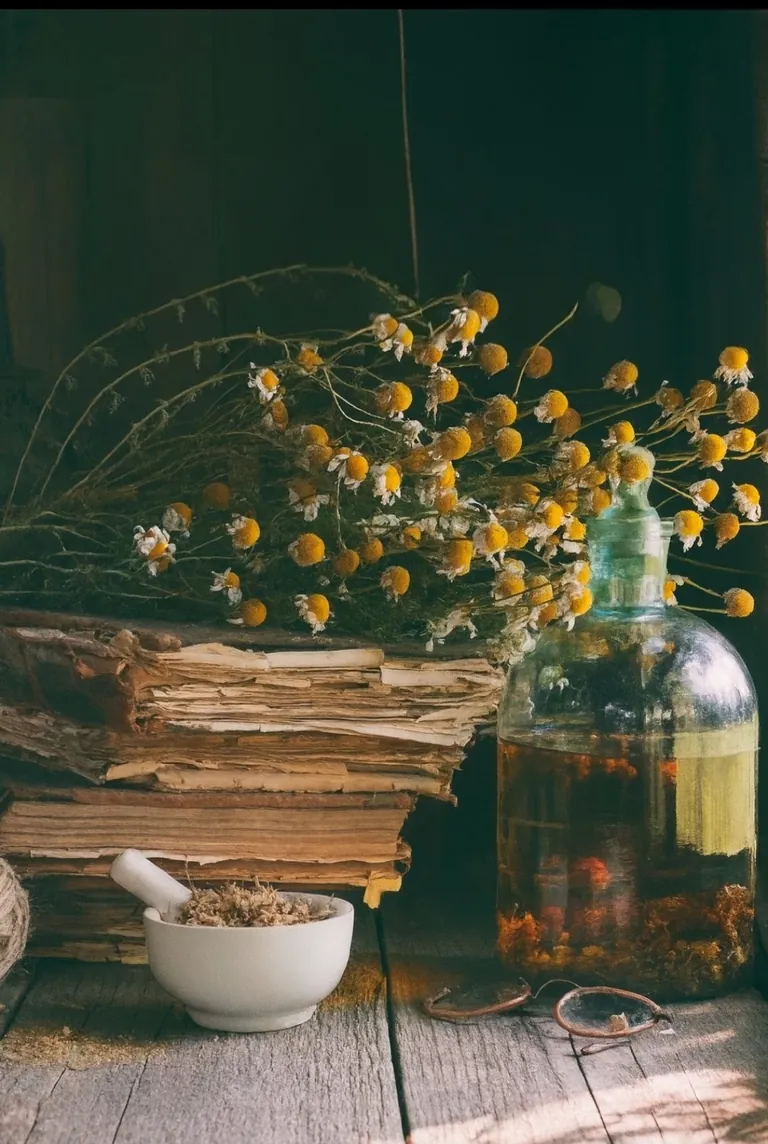 Apothecary - Handcrafted Herbal Remedies