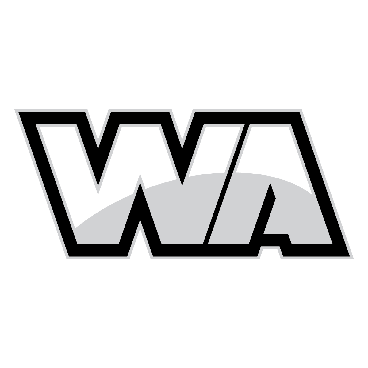 Wealth America Financial Services