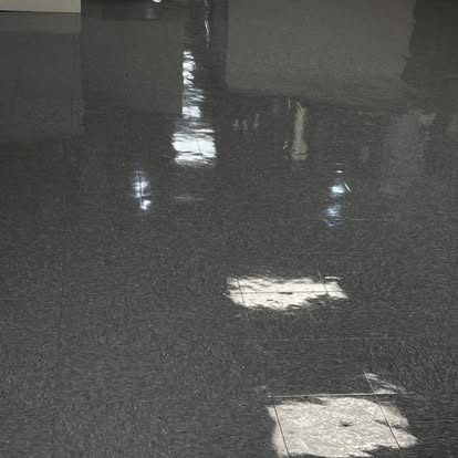 Lourenco Cleaning Services auto detailing project photo from Facebook