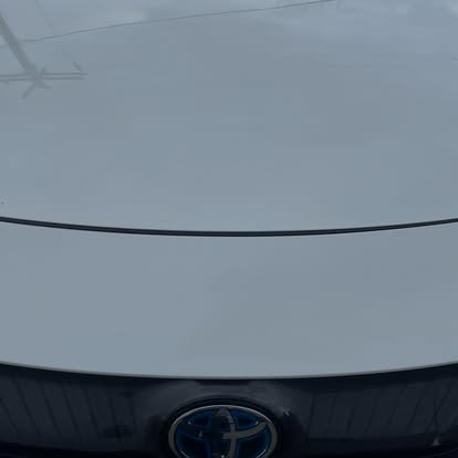 Lourenco Cleaning Services auto detailing project photo from Facebook